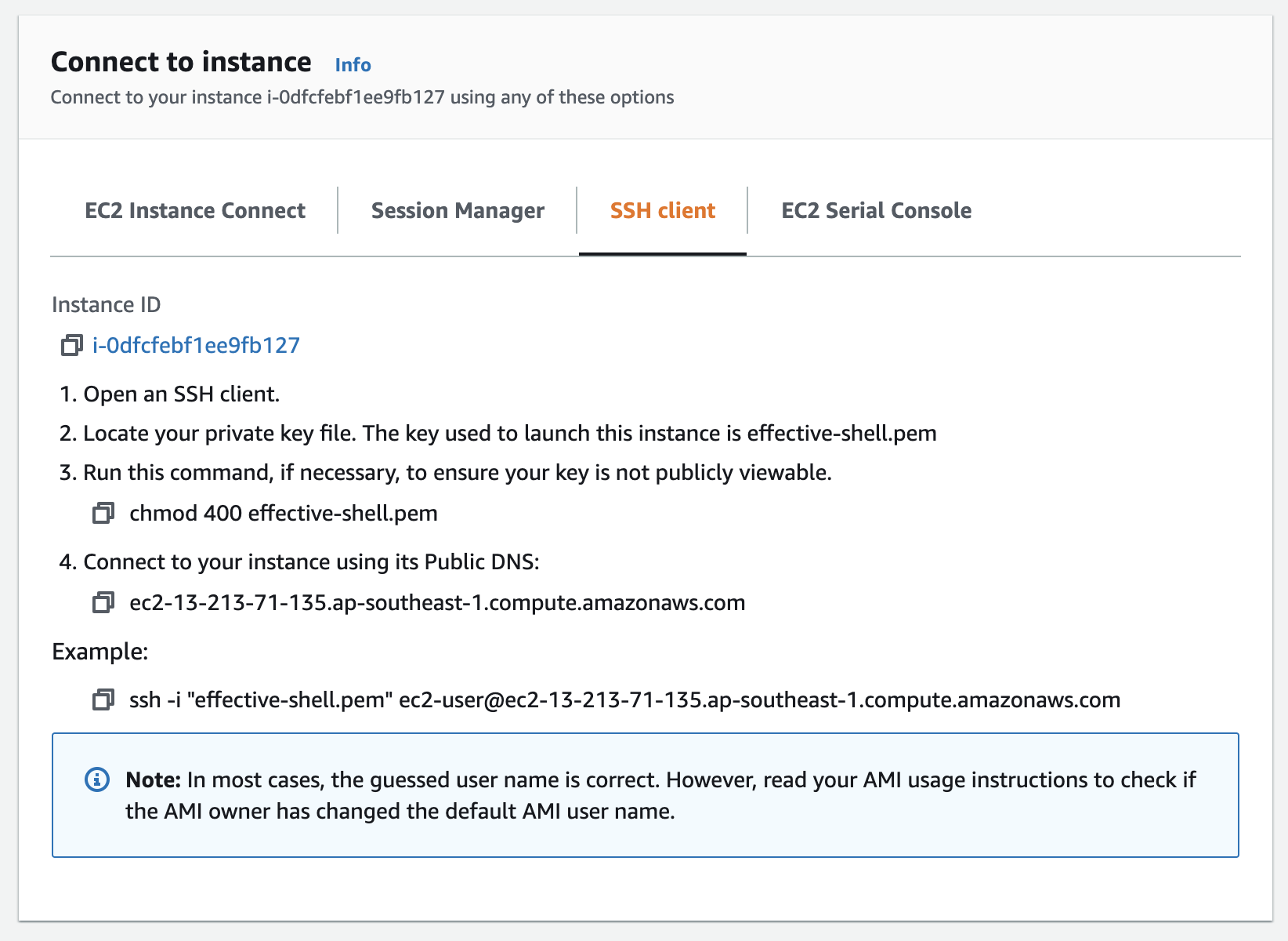 Screenshot: Connect to Instance