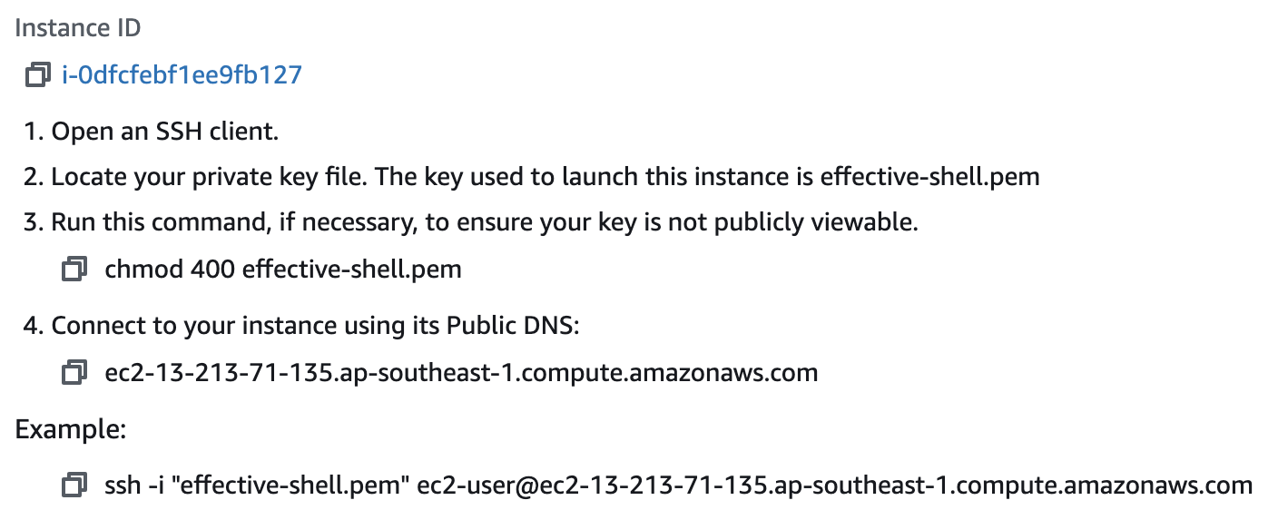Screenshot: Instance SSH Details