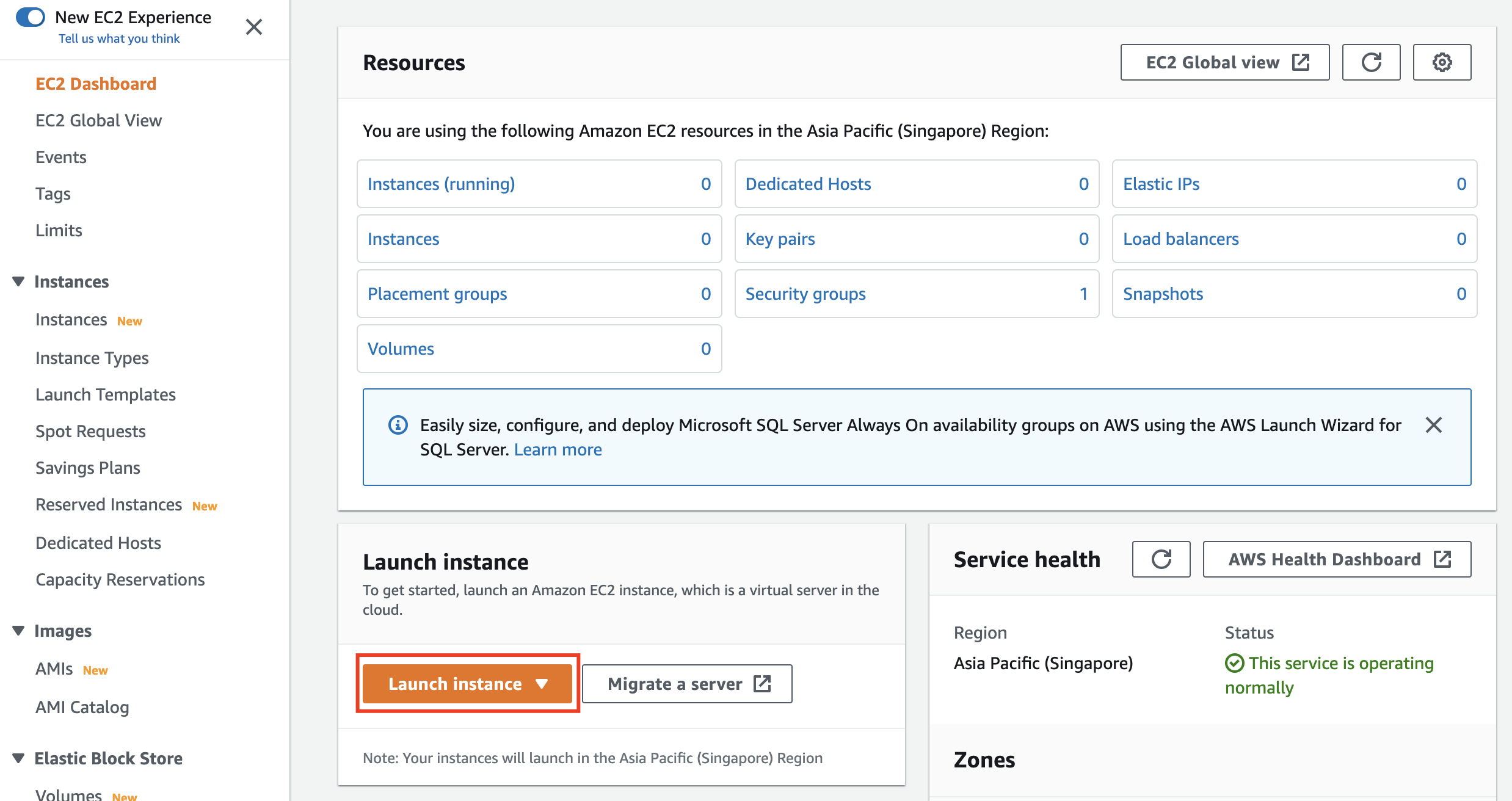 Screenshot: Launch Instance